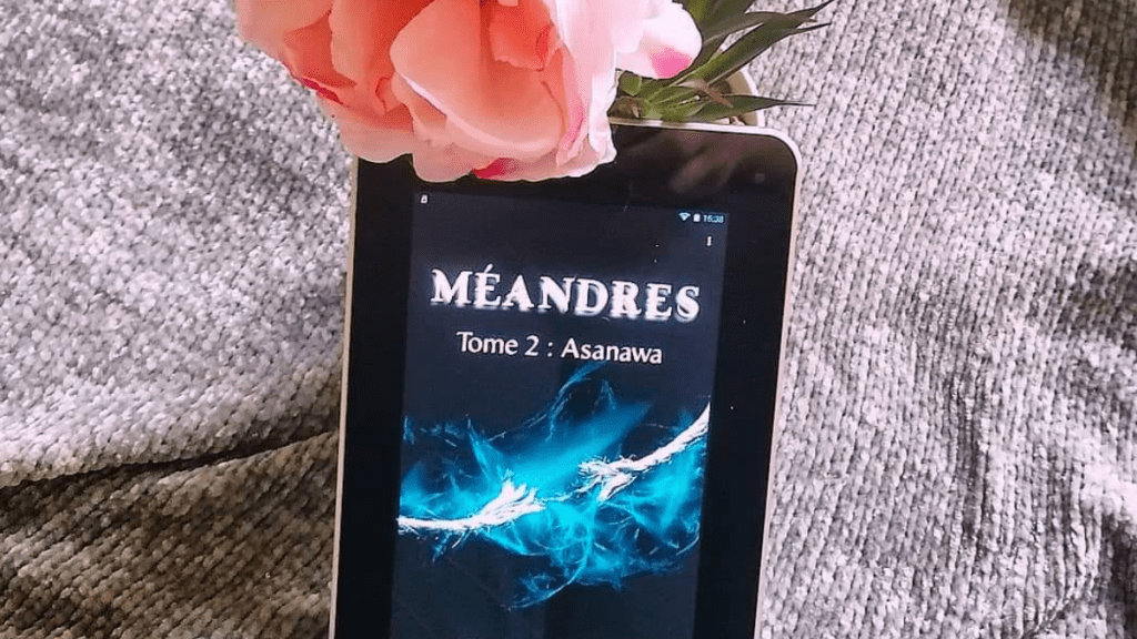 Méandres (2) : Asanawa, Céline E.&nbsp;Nicolas.