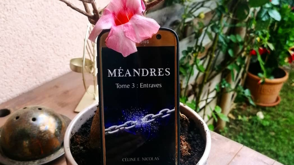 Méandres (3) : Entraves, Céline E.&nbsp;Nicolas.