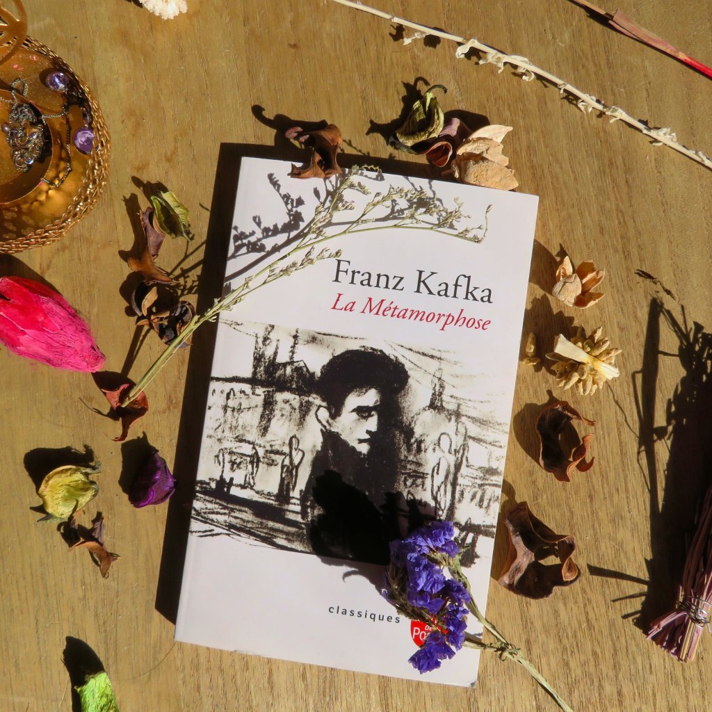 La Métamorphose, Franz&nbsp;Kafka.