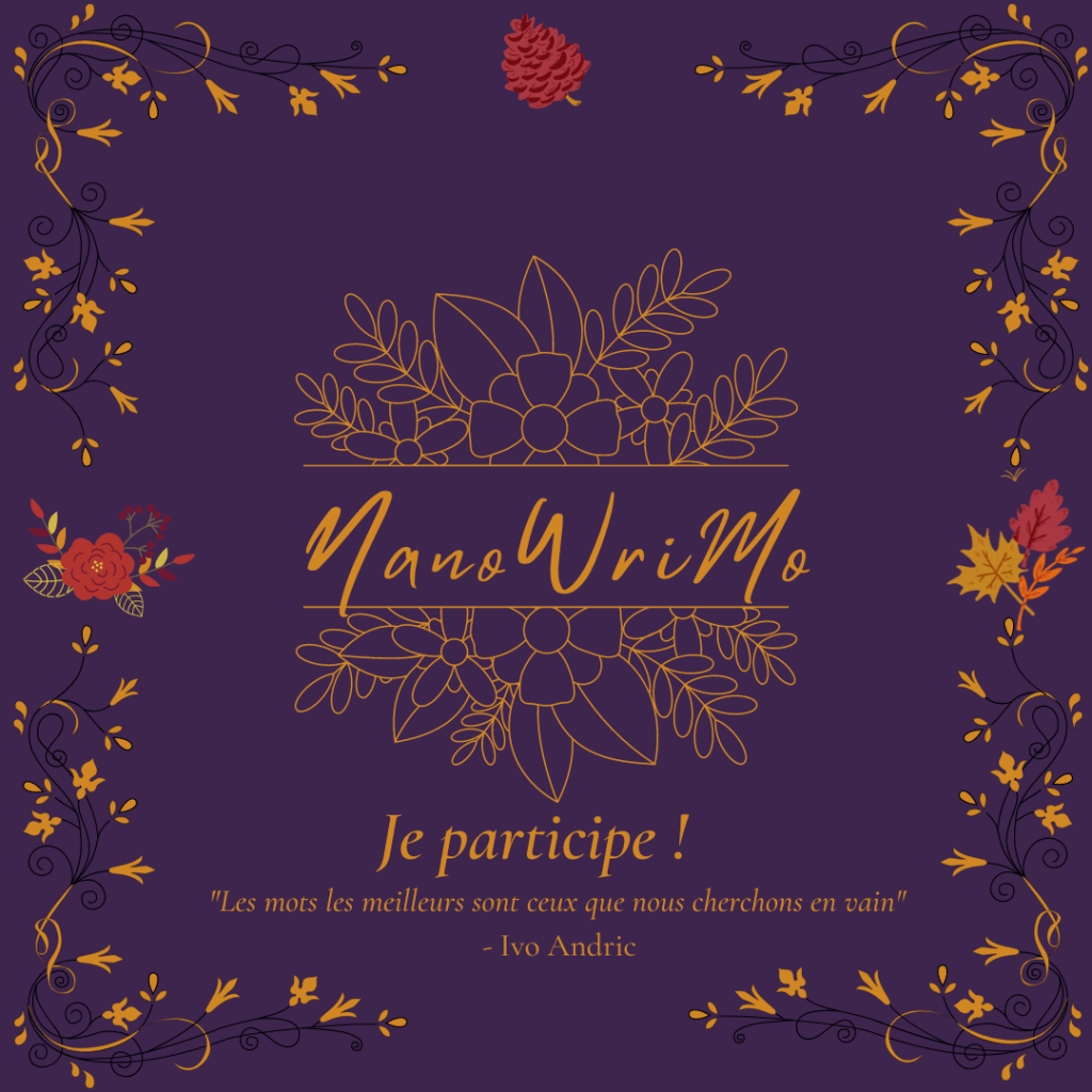 NaNoWriMo 2022 – Je participe&nbsp;!